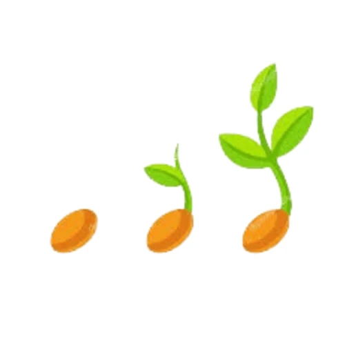 Abuurka(Seeds)